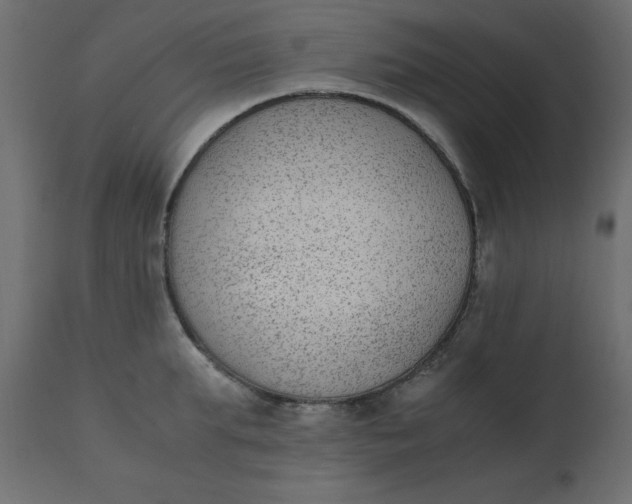 X0000110730903200906261516