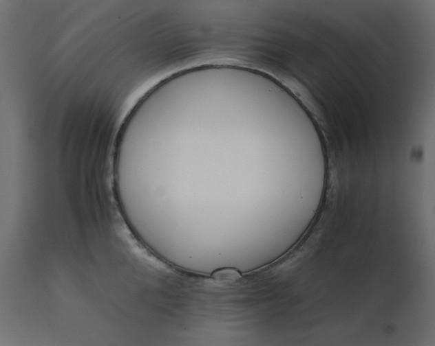 X0000110730904200906261516