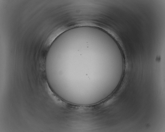 X0000110730905200906261516