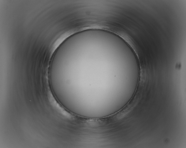 X0000110730906200906261516