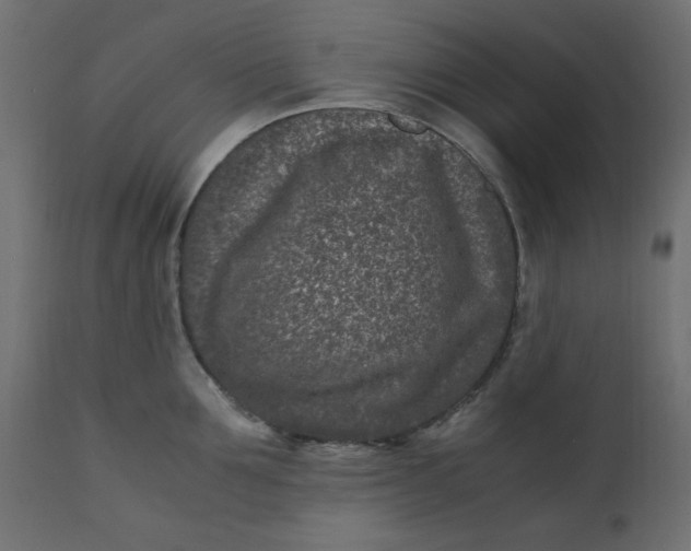 X0000110730907200906261516