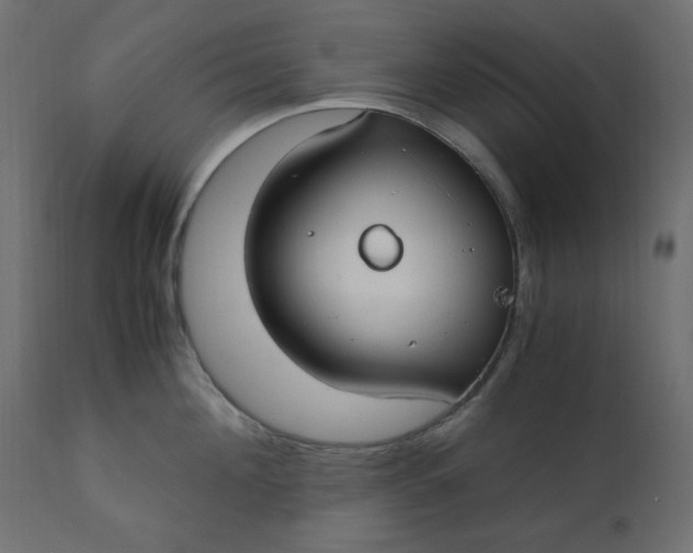 X0000110730908200906261516