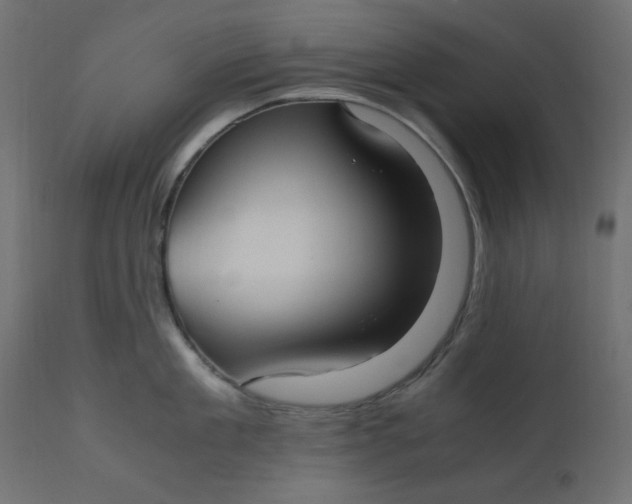 X0000110730909200906261516