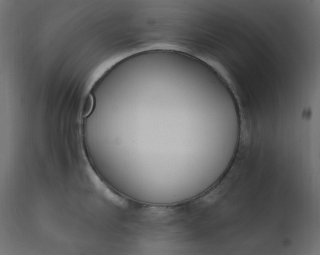 X0000110730910200906261516