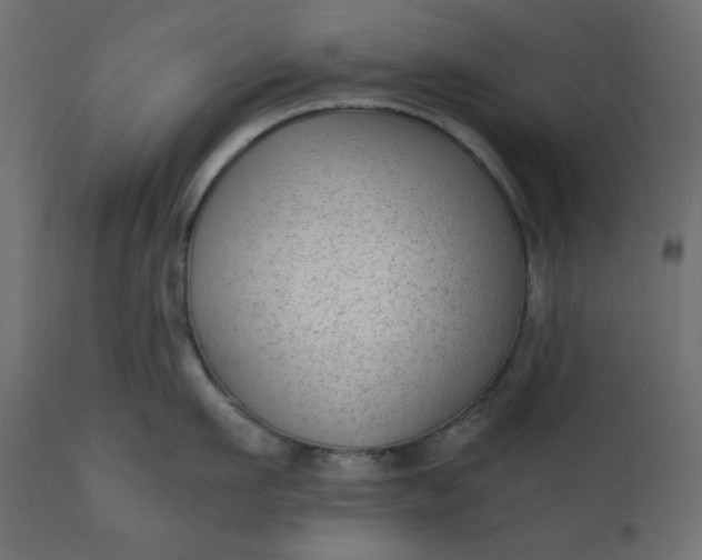 X0000110730911200906261516