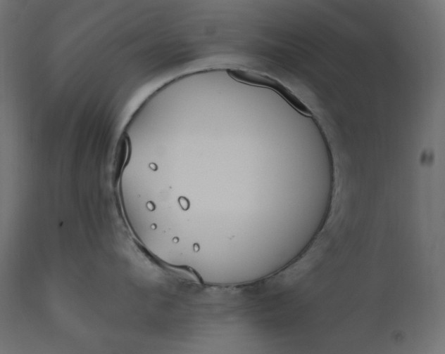 X0000110730912200906261516