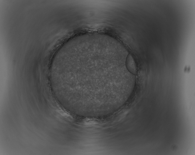 X0000110730913200906261515