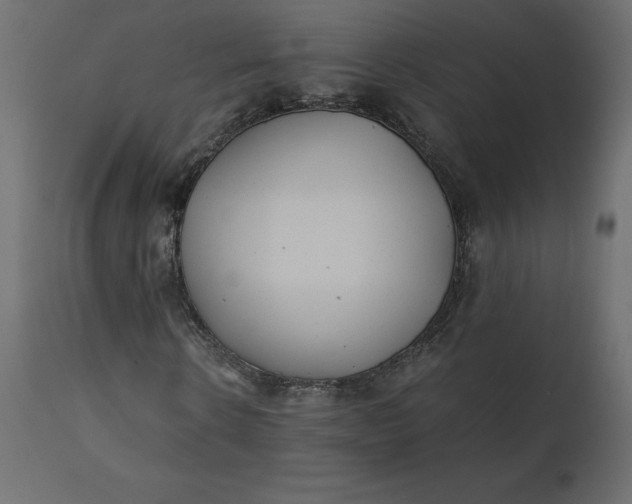 X0000110730914200906261515