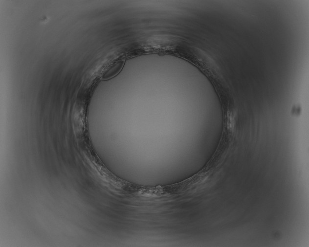 X0000110730915200906261515