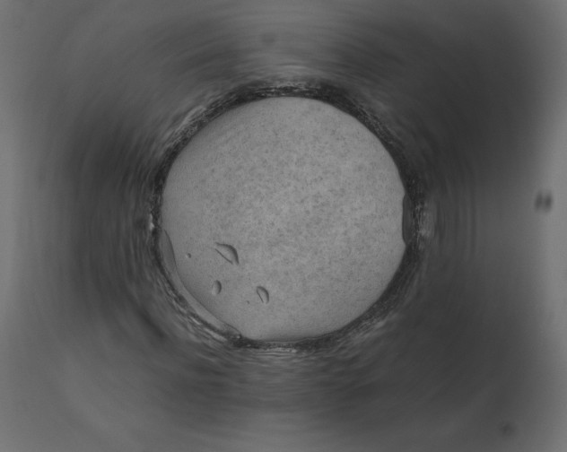 X0000110730916200906261515