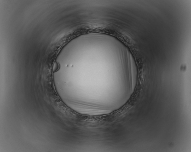 X0000110730917200906261515