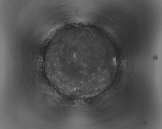 X0000110730918200906261515