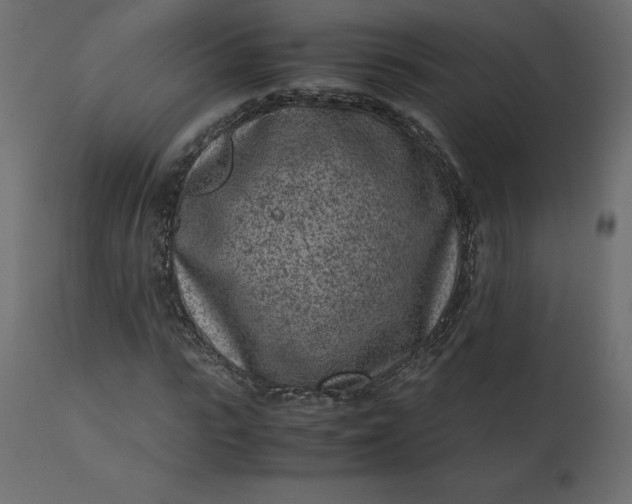 X0000110730919200906261515