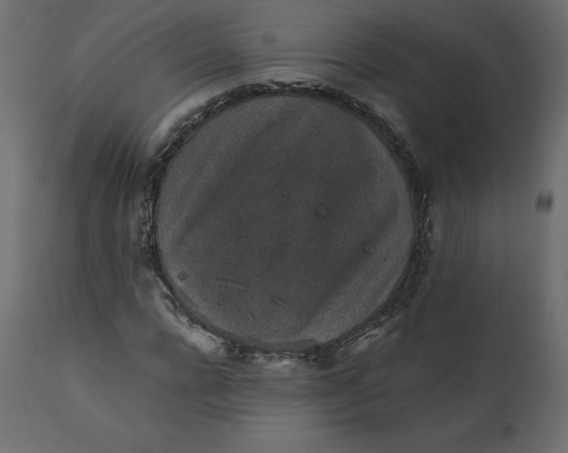 X0000110730920200906261515