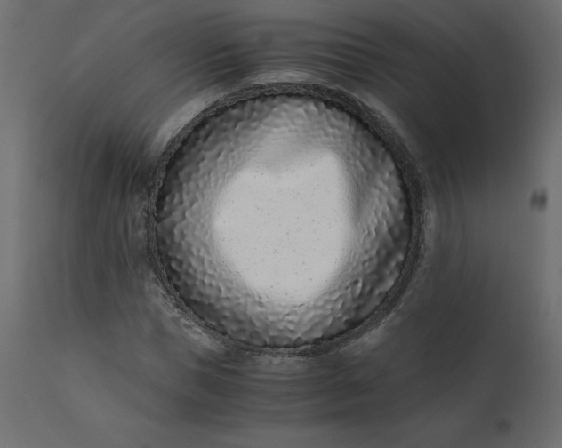 X0000110730921200906261515