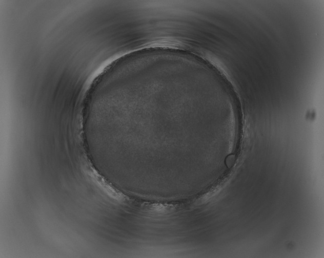 X0000110730923200906261515