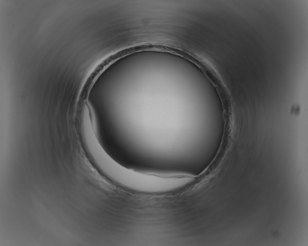 X0000110730924200906261515