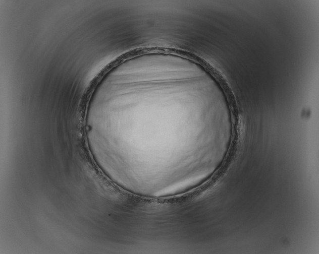 X0000110730925200906261515