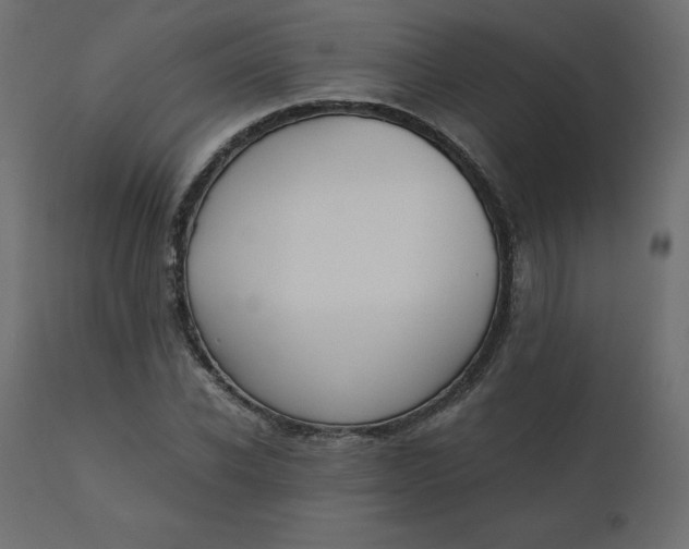 X0000110730926200906261516