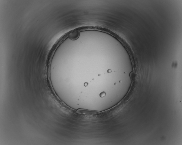 X0000110730927200906261516