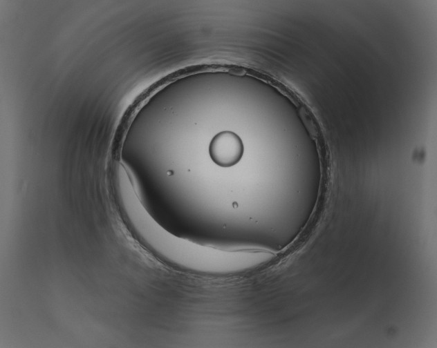 X0000110730928200906261516