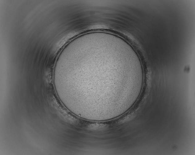 X0000110730929200906261516