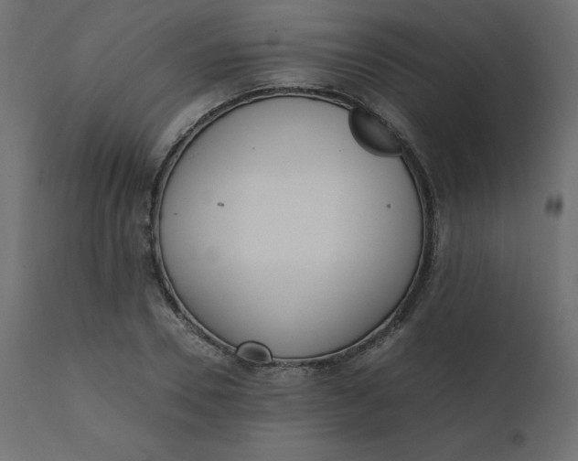 X0000110730930200906261516