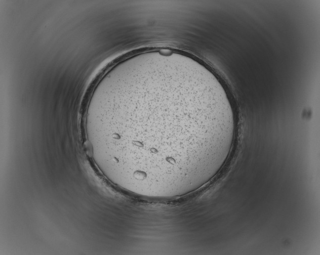 X0000110730932200906261516