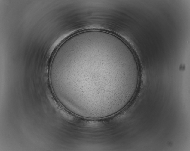 X0000110730933200906261516