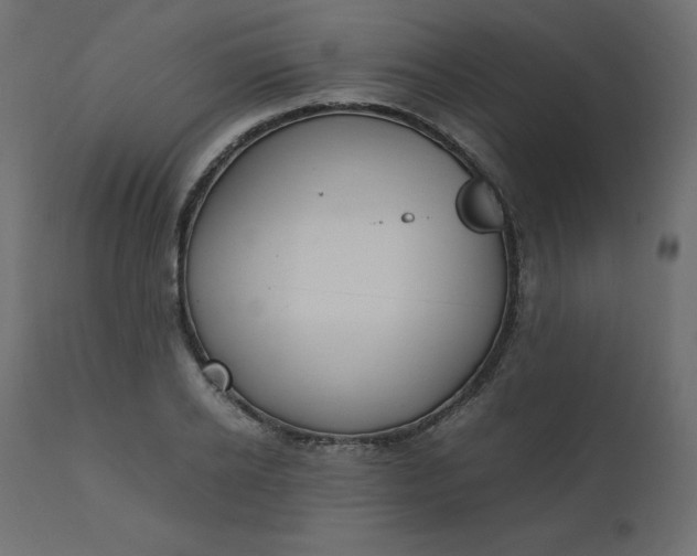 X0000110730934200906261516