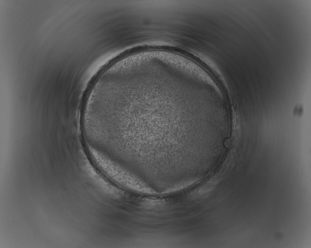 X0000110730935200906261516