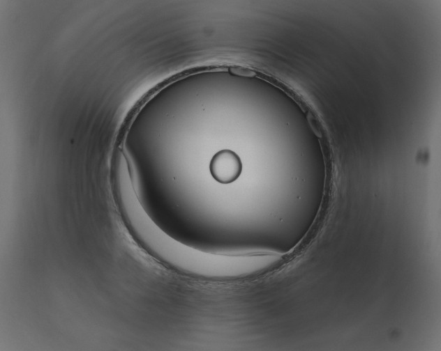 X0000110730936200906261516