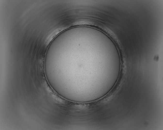 X0000110730937200906261516