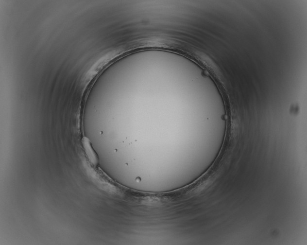 X0000110730938200906261516