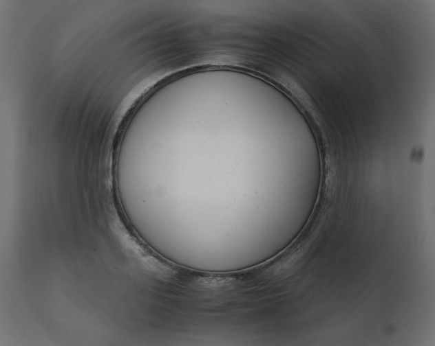 X0000110730939200906261516