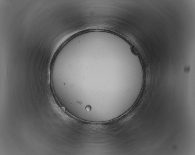 X0000110730940200906261516