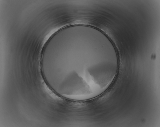 X0000110730941200906261516