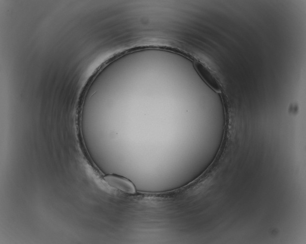 X0000110730942200906261516