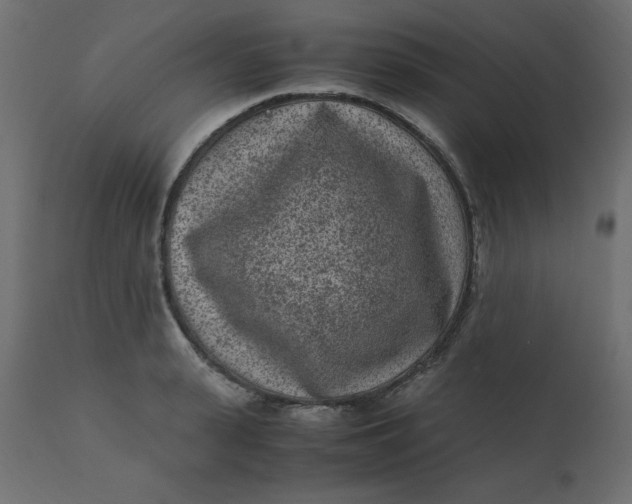 X0000110730943200906261516