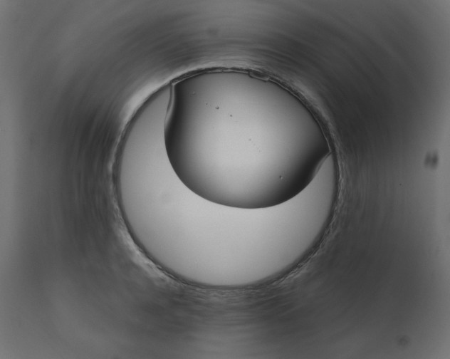 X0000110730944200906261516