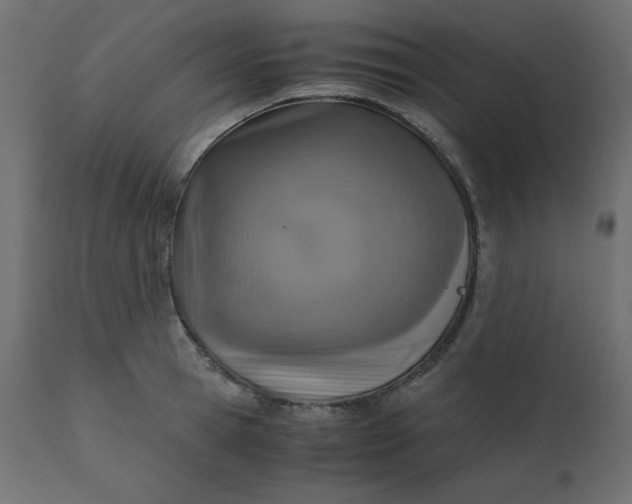 X0000110730945200906261516