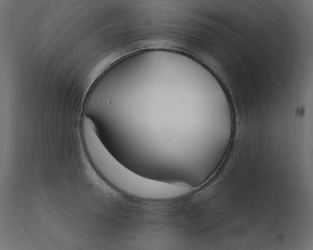 X0000110730946200906261516