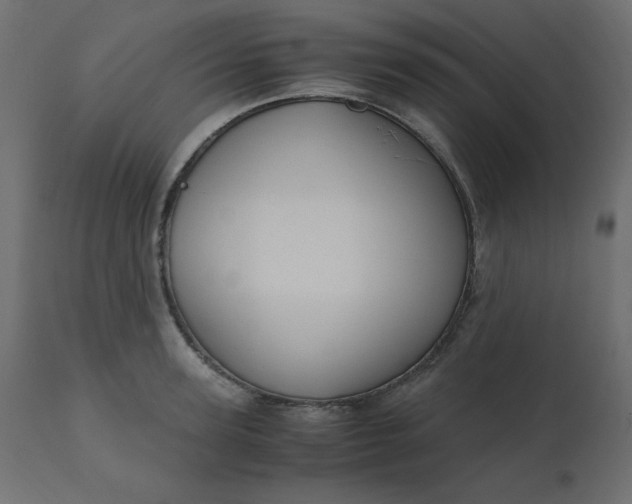 X0000110730947200906261516