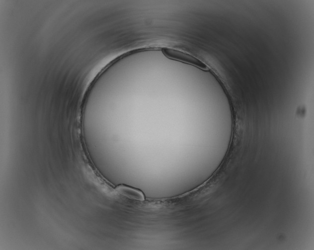 X0000110730948200906261516