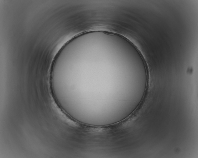 X0000110730949200906261516