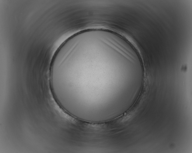 X0000110730951200906261516