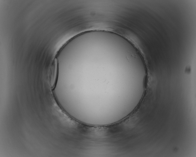 X0000110730952200906261516