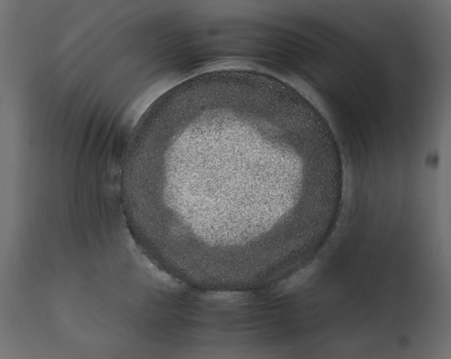 X0000110730953200906261516