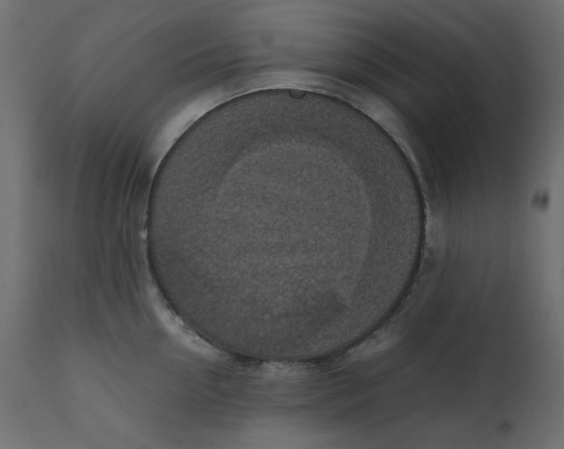 X0000110730954200906261516