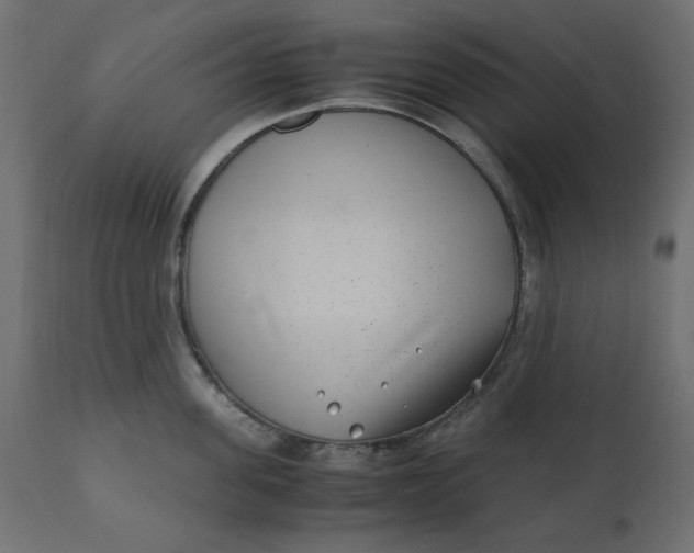 X0000110730955200906261516